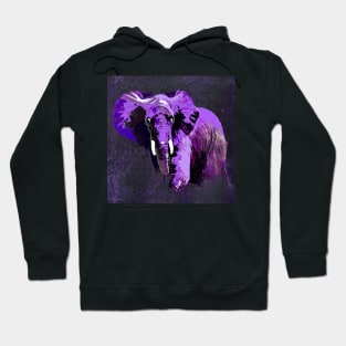 ELEPHANT PURPLE VIOLET SPARKLE Hoodie